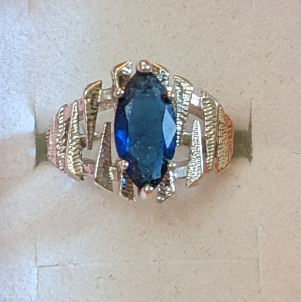 Elegant Silver and Blue Gemstone Ring, T1B8G
